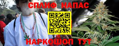 стаф Кулебаки