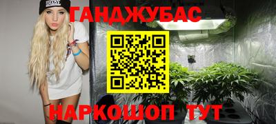стаф Кулебаки