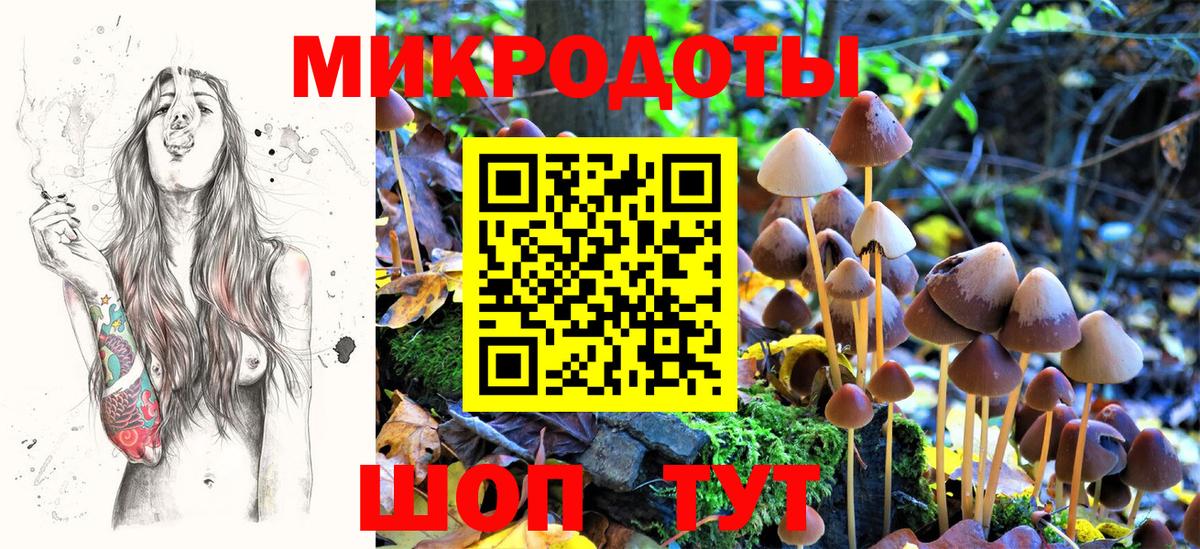 Клинцы  Псилоцибиновые грибы мухоморы  Галлюциногенные грибы Magic Shrooms  Вход с VPN 